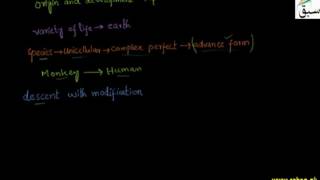Variation and Organic Evolution