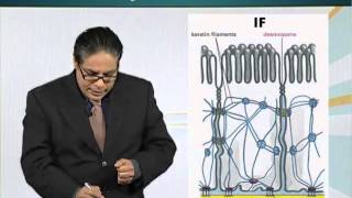 BIO201_Topic022
