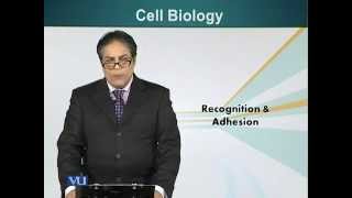 BIO201_Topic035