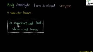 Difference between Mosses and Fern