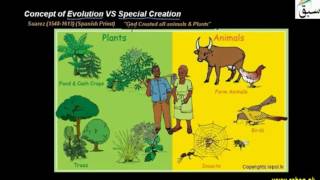 Concept of Evolution VS Special Creation