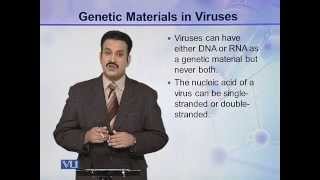 BIO302_Topic028
