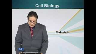 BIO201_Topic044