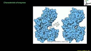 Basic Definition Used in Enzyme