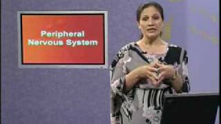 PSY101_Lecture13