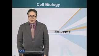 BIO201_Topic084