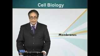 BIO201_Topic033