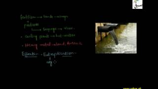 Water Pollution