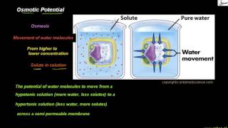 Osmotic Potential