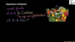 Importance of Vitamins