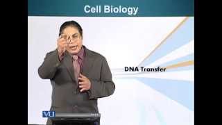 BIO201_Topic082