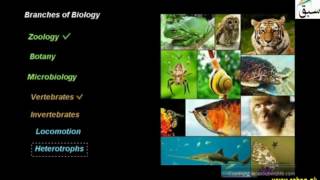 Zoology,Botany, Microbiology