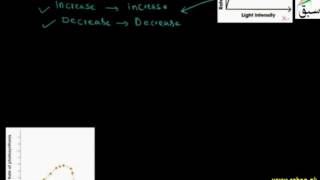 Limiting Factors in Photosynthesis