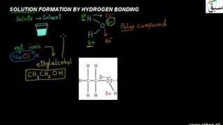Solution Formation by Hydrogen Bonding