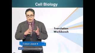 BIO201_Topic088