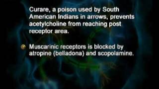 PSY610_Lecture35
