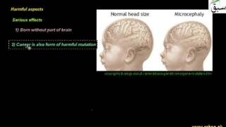 Importance of Mutation