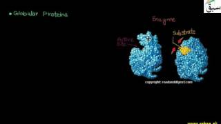 Classification of Proteins