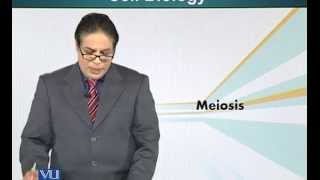 BIO201_Topic045