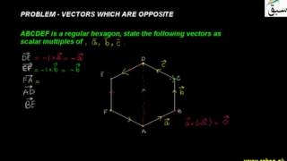 Problem-Vectors which are Opposite