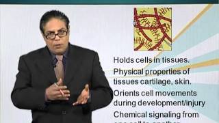 BIO201_Topic023