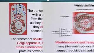 BIO201_Topic148