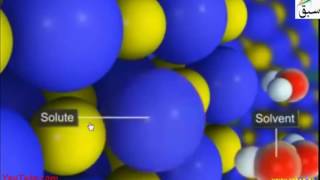 Hydrophillic and Hydrophobic Molecules