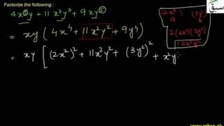 Problem 1: Factoring Polynomial of Degree Four