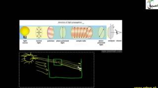 Optical Activity