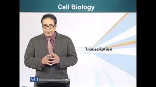 BIO201_Topic085