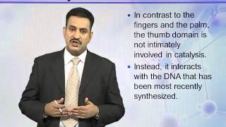 BIO302_Topic042