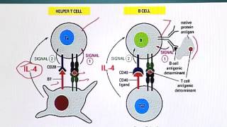 BIO201_Topic136
