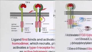 BIO201_Topic117