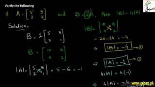 Problem2-Singular and Non-Singular Matrix