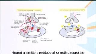 BIO201_Topic102