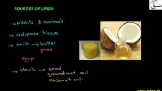 Sources of Lipids