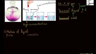 Diffusion in Liquids