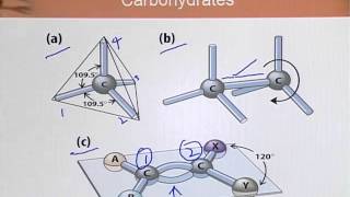 BIO202_Topic005