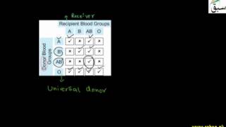 Blood Transfusion