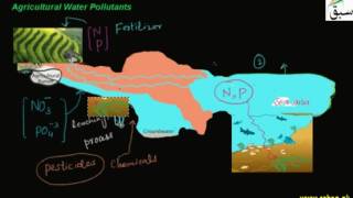 Agricultural Water Pollutants