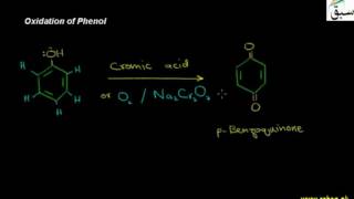 Oxidation of Phenol