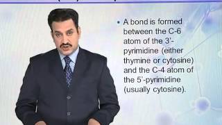 BIO302_Topic057