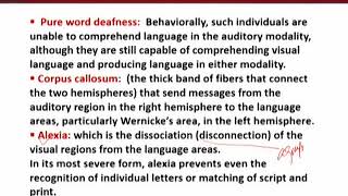 ENG511_Topic147