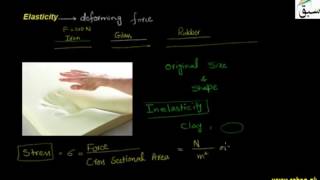 Elasticity