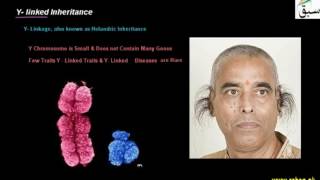Y- linked Inheritance