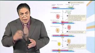 BIO201_Topic069