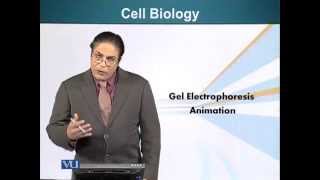 BIO201_Topic075