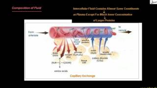 Lymphatic System of Man