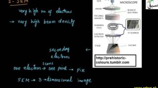More on Electron Microscope