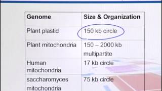 BIF733_Topic031